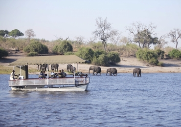 Day 4 Chobe National Park