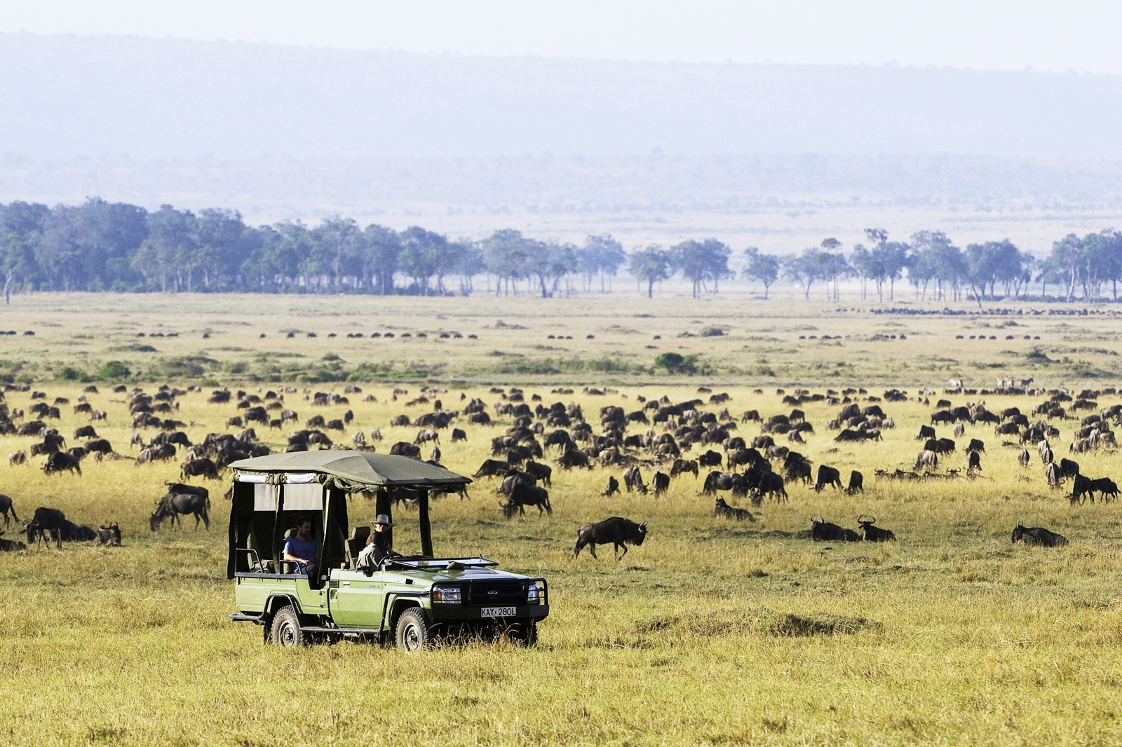 Day 4 Serengeti North