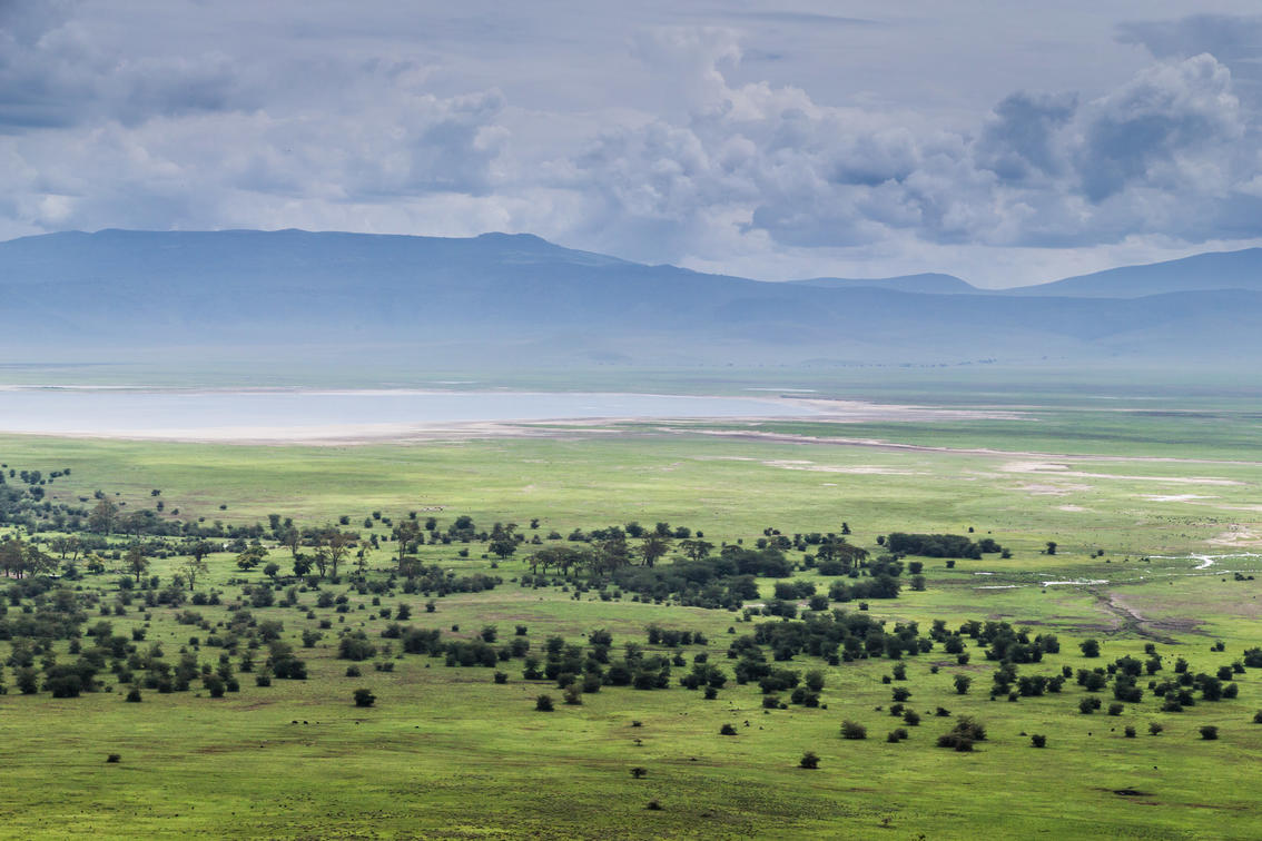  Day 2 Ngorongoro