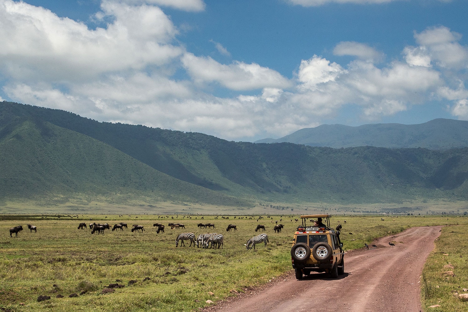 Day 3 Ngorongoro Crater